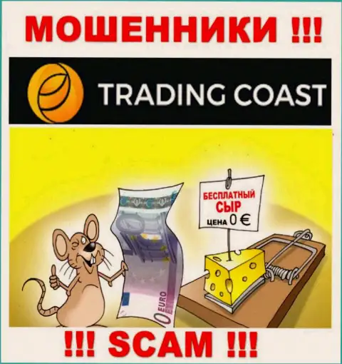 В компании Trading-Coast Com пудрят мозги клиентам и заманивают к себе в лохотронный проект
