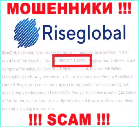 Номер регистрации Rise Global, который кидалы указали на своей web странице: 103595