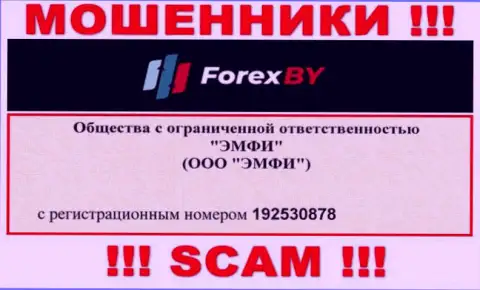 На онлайн-ресурсе мошенников Forex BY представлен именно этот номер регистрации данной организации: 192530878