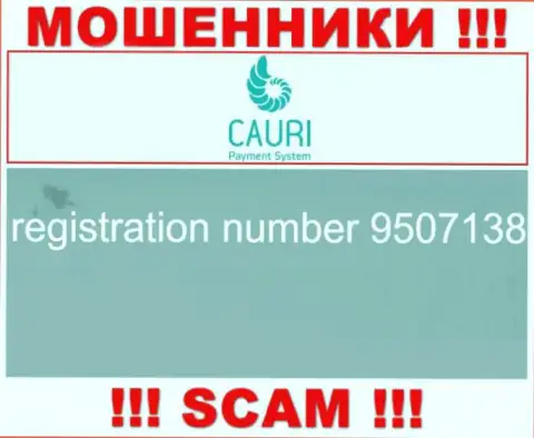 Регистрационный номер, который принадлежит мошеннической компании Cauri - 9507138