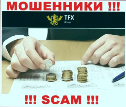 Не угодите в грязные руки к internet-обманщикам TFX Group, потому что можете лишиться депозитов