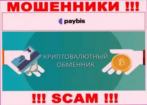 Крипто обменник - направление деятельности преступно действующей организации PayBis Com
