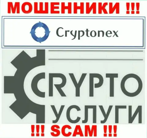 Работая совместно с CryptoNex, область деятельности которых Криптовалютные услуги, можете лишиться своих денег