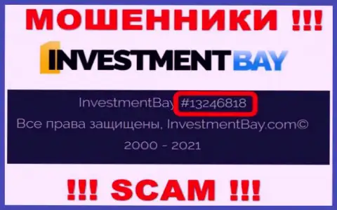 Регистрационный номер, под которым зарегистрирована компания Investment Bay: 13246818