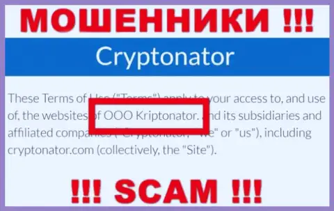 Организация Криптонатор Ком находится под руководством организации OOO Криптонатор