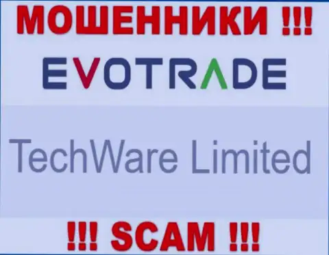 Юридическим лицом ЭвоТрейд считается - TechWare Limited
