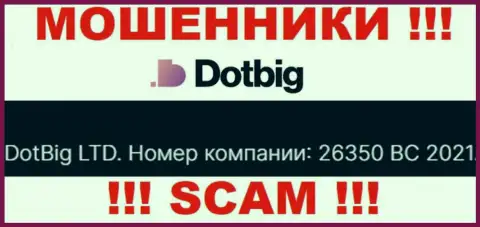 Рег. номер воров DotBig Com, расположенный ими на их веб-сайте: 26350 BC 2021