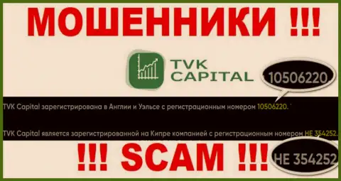 Будьте крайне осторожны, присутствие номера регистрации у конторы TVK Capital (10506220) может быть уловкой