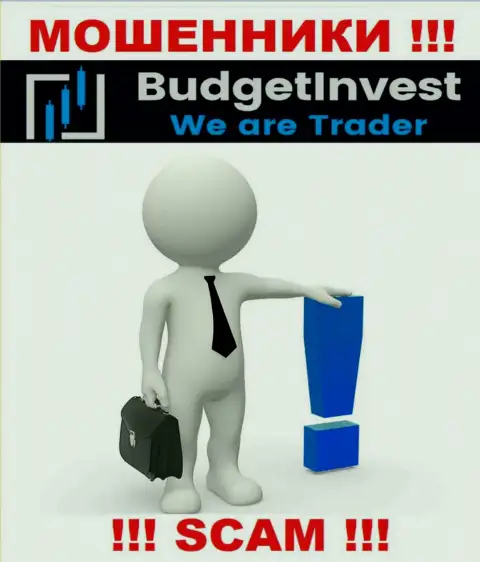 BudgetInvest Org - это internet-мошенники !!! Не сообщают, кто именно ими управляет