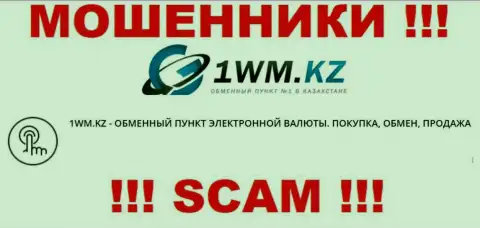 Деятельность интернет мошенников 1WM Kz: Internet-обменник - это капкан для малоопытных клиентов