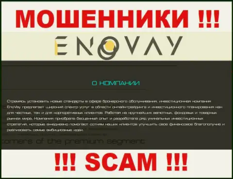 Поскольку деятельность мошенников EnoVay это сплошной обман, лучше будет взаимодействия с ними избегать