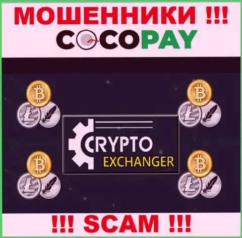 Coco-Pay Com - это чистой воды интернет мошенники, сфера деятельности которых - Интернет-обменник