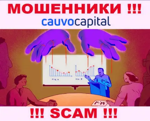 Очень рискованно соглашаться сотрудничать с internet-мошенниками CauvoCapital, присваивают денежные активы