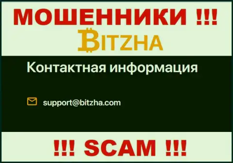 Адрес электронного ящика жуликов Bitzha24, информация с официального сервиса